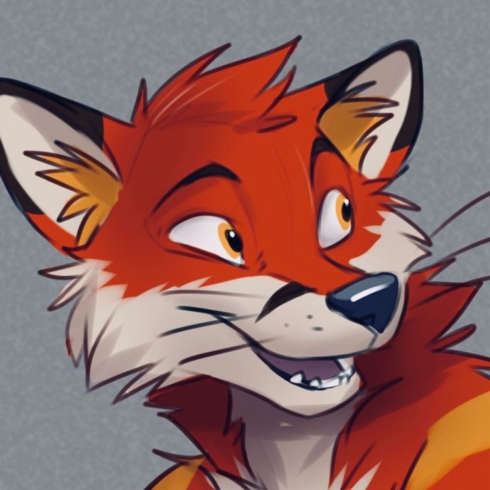 Vulp