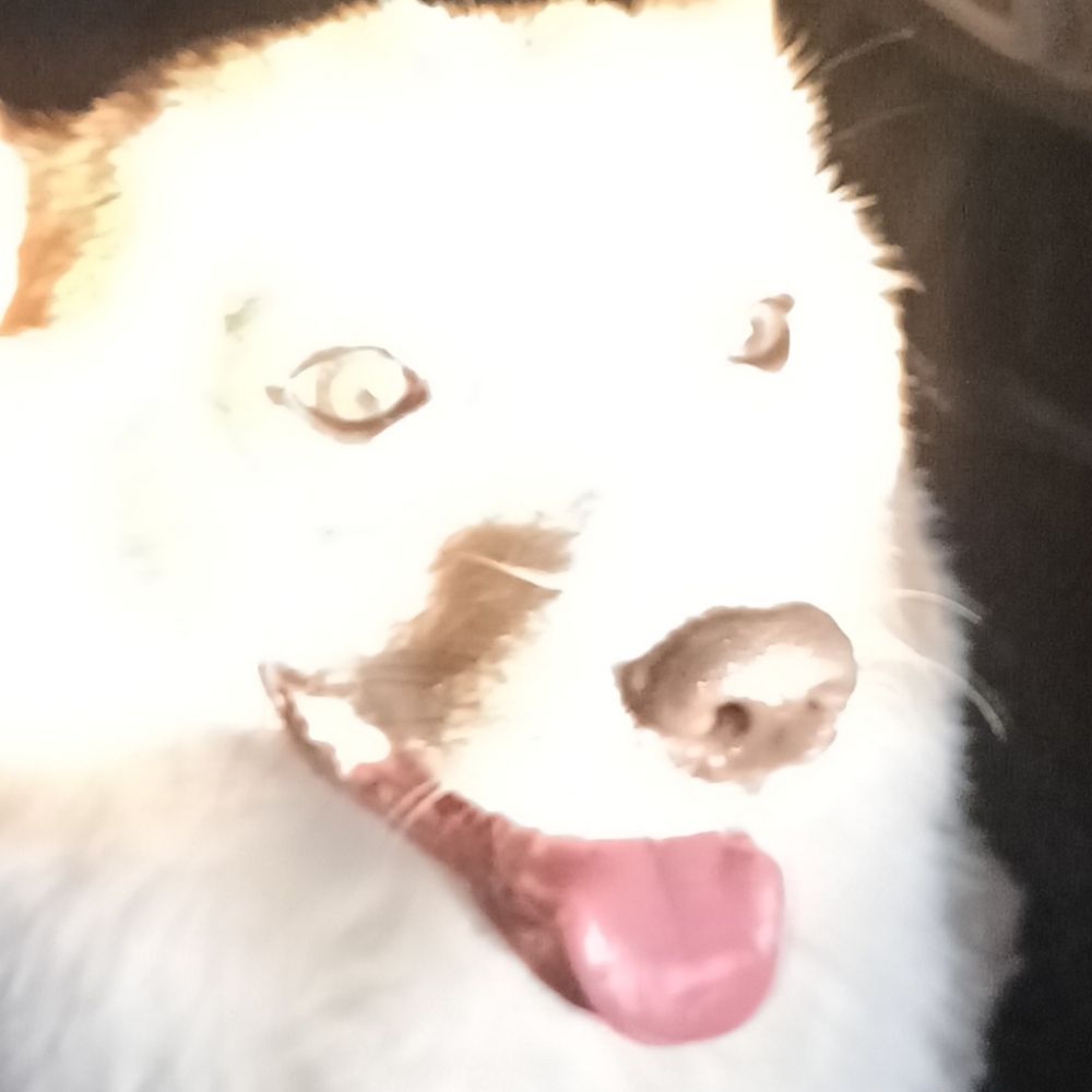 Nu-yl