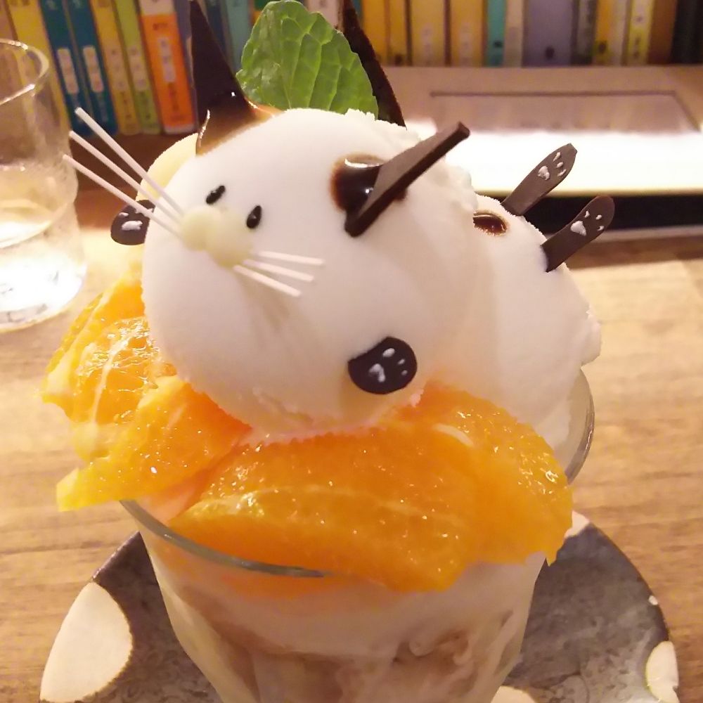 モルセラ