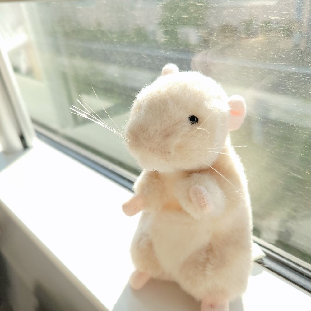 にたろう