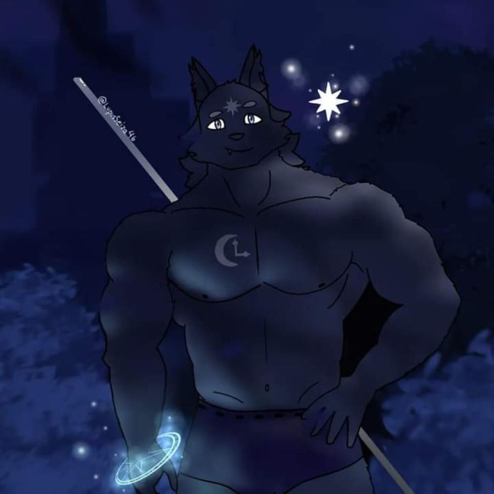 Lupus Okami Seiza✨