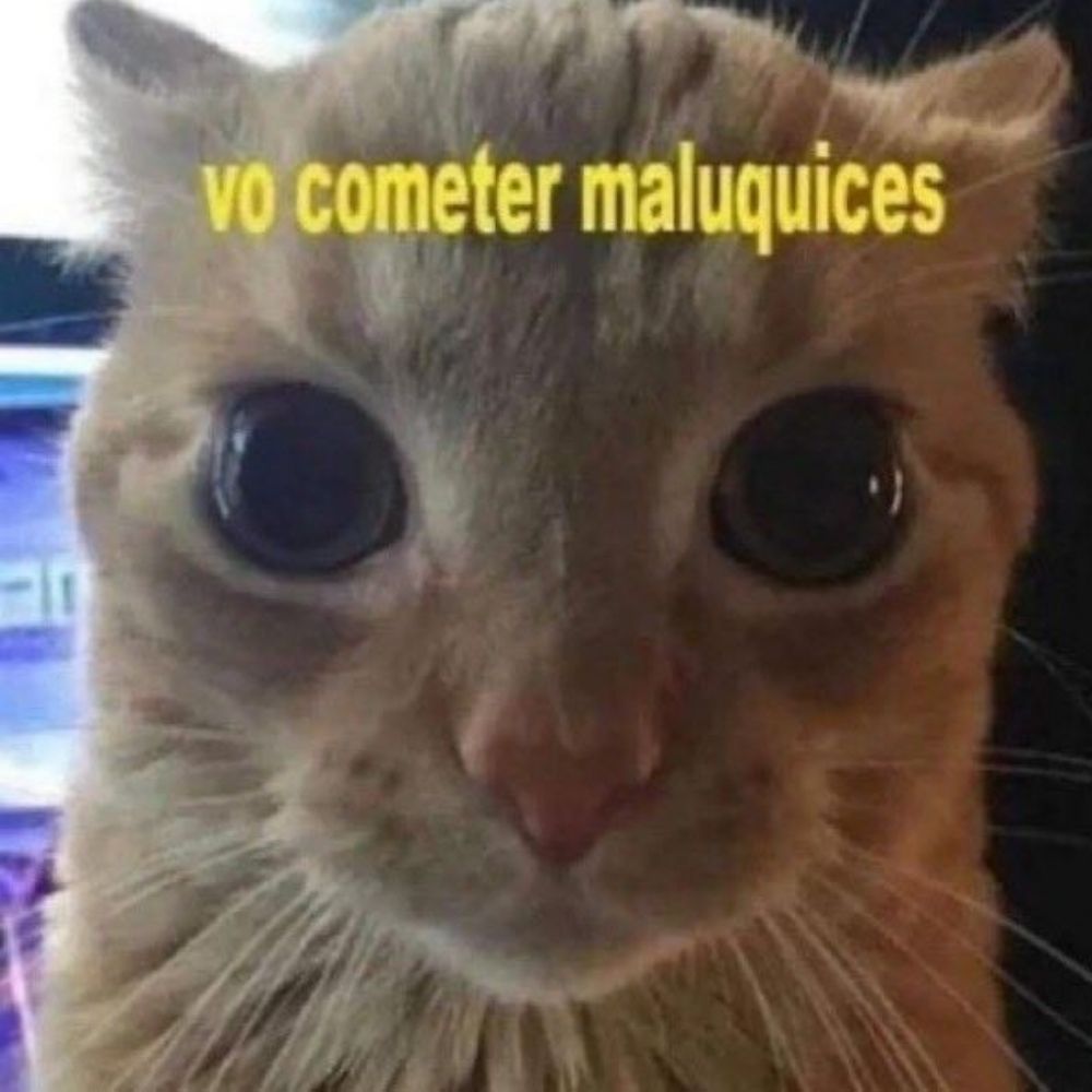 Night(Isa) adoidada 👉👈