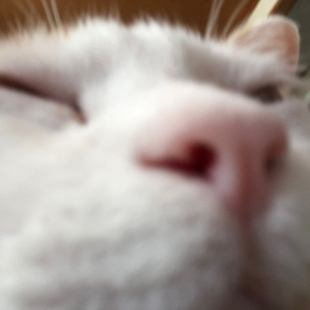 pega