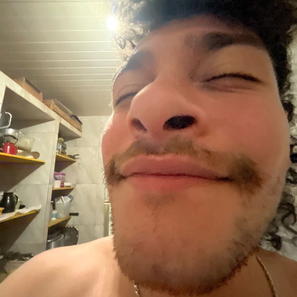 SeteGallo