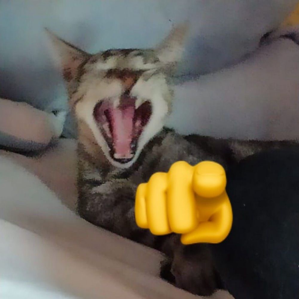 Pitu