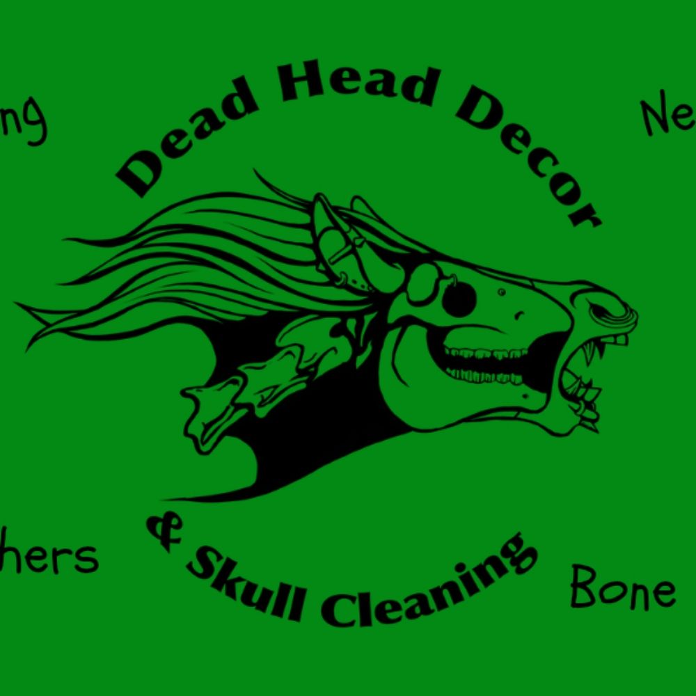 Dead Head Decor and Skull Cleaning