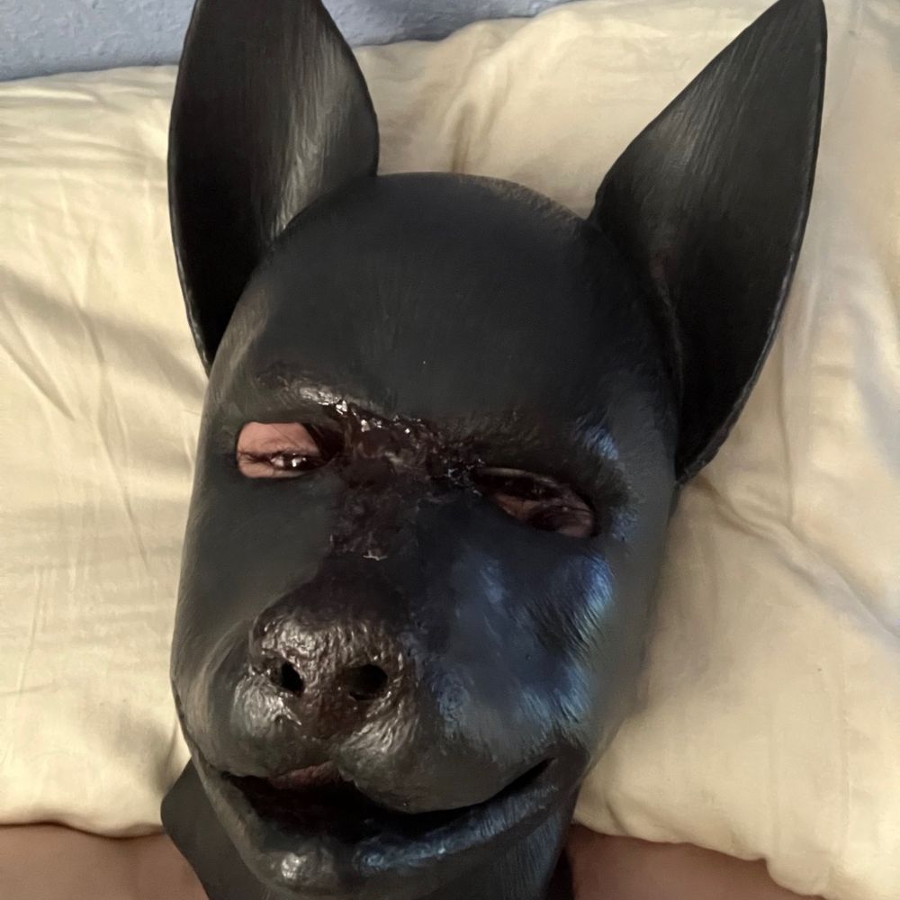 Cosmo Doggo