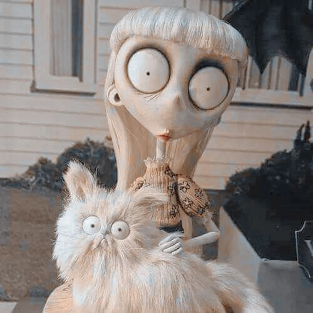 𝐖𝐄𝐈𝐑𝐃 𝐆𝐈𝐑𝐋
