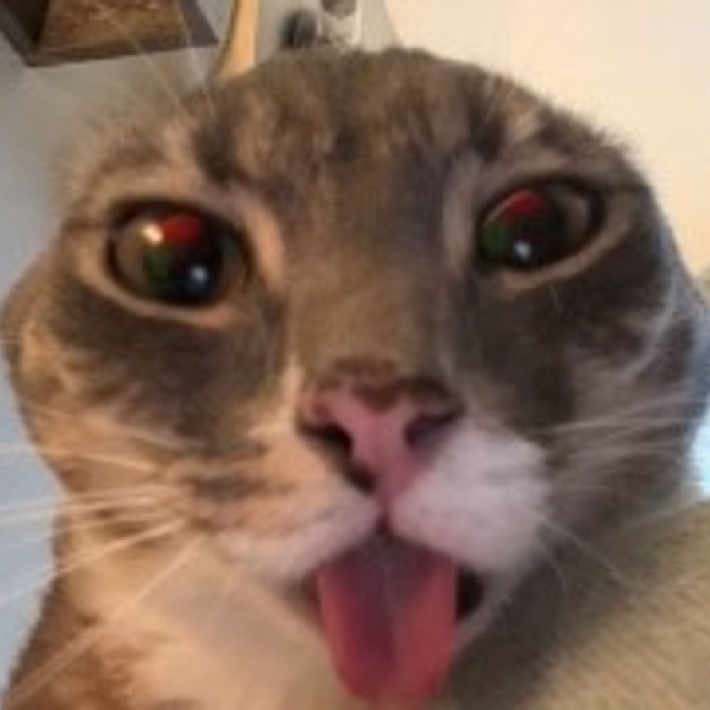 yurr