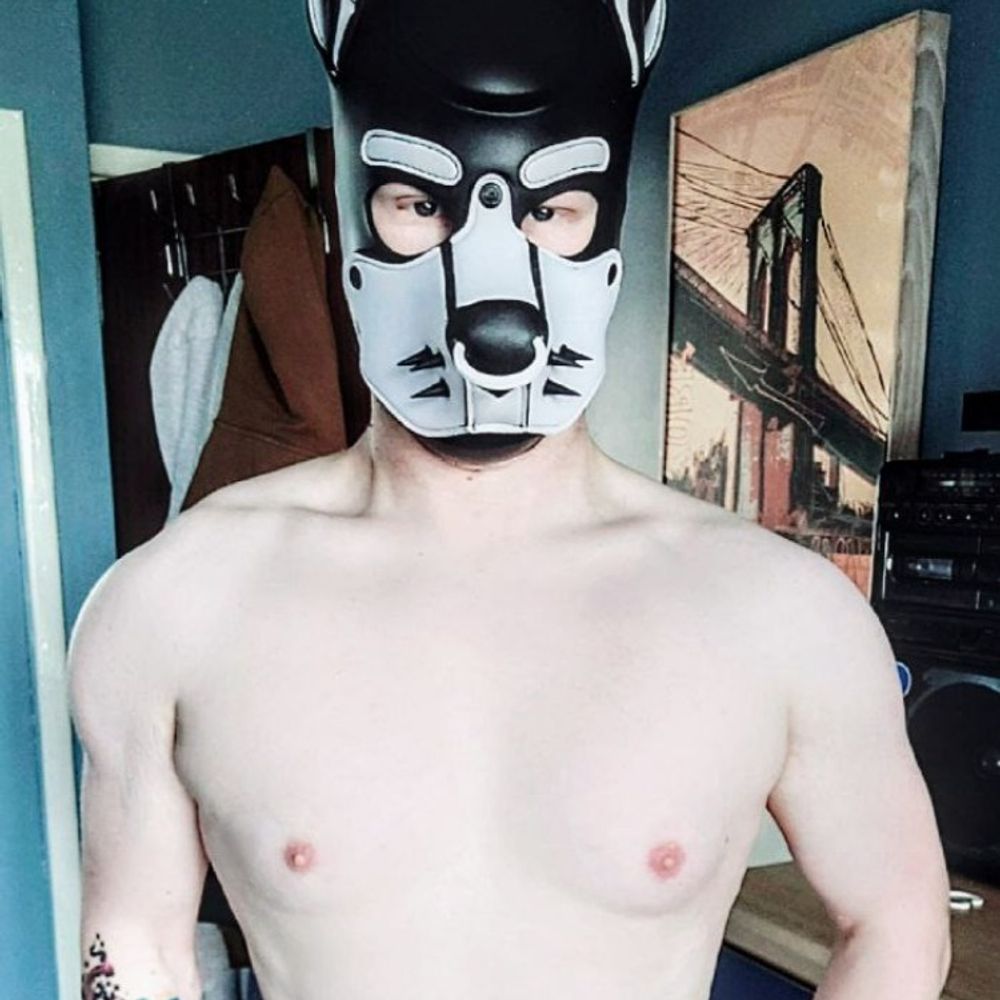 Pup Retro 🐾🤍