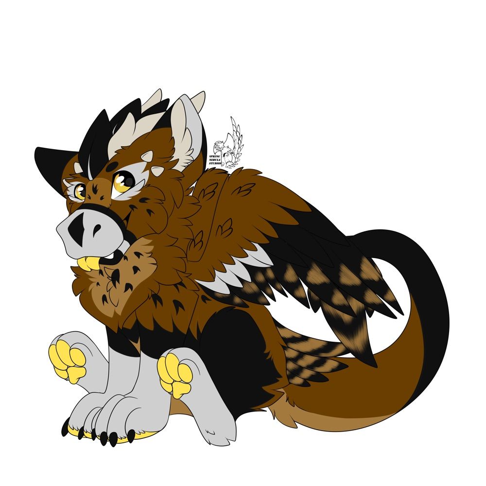 Ozzy the Dutchie (Dutch Angel Dragon)