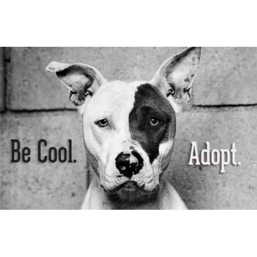 rulaguerrero.bsky.social profile picture
