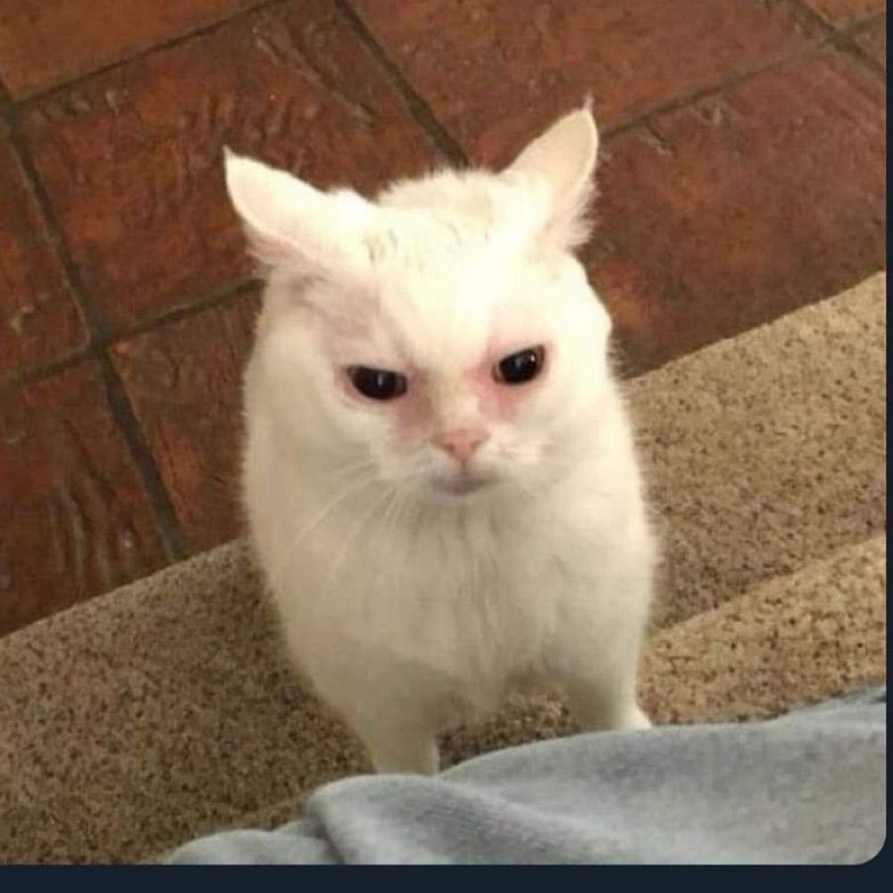 Jinni