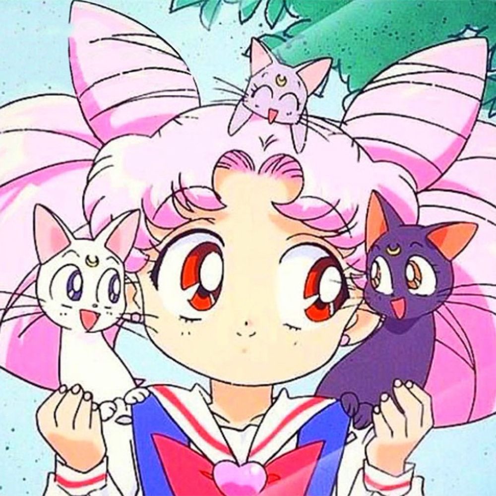 しらたま🍊꒰*´｀*꒱