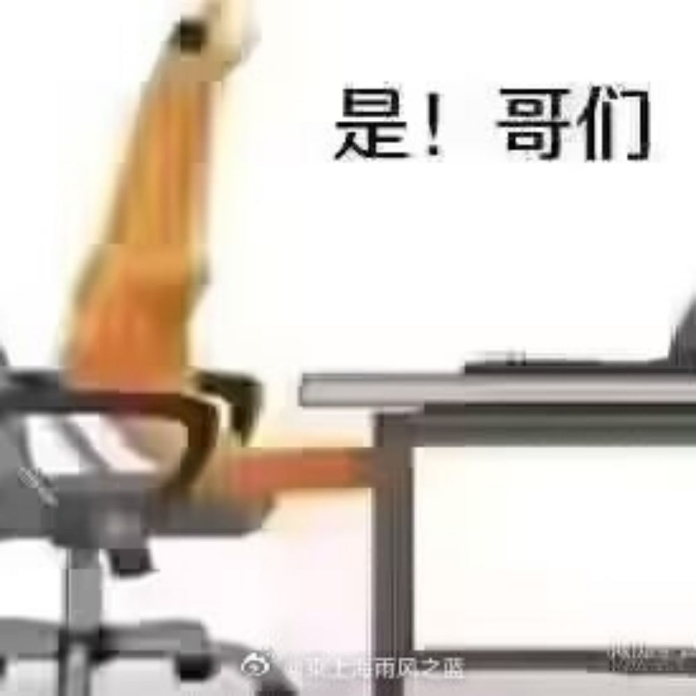 马马又桶桶