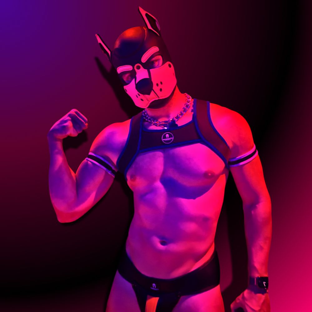 pup scout