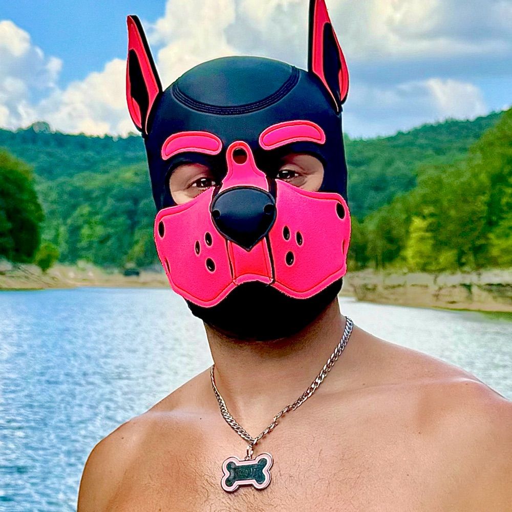pup scout