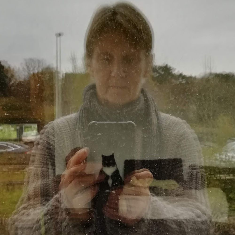 Ann Rombouts