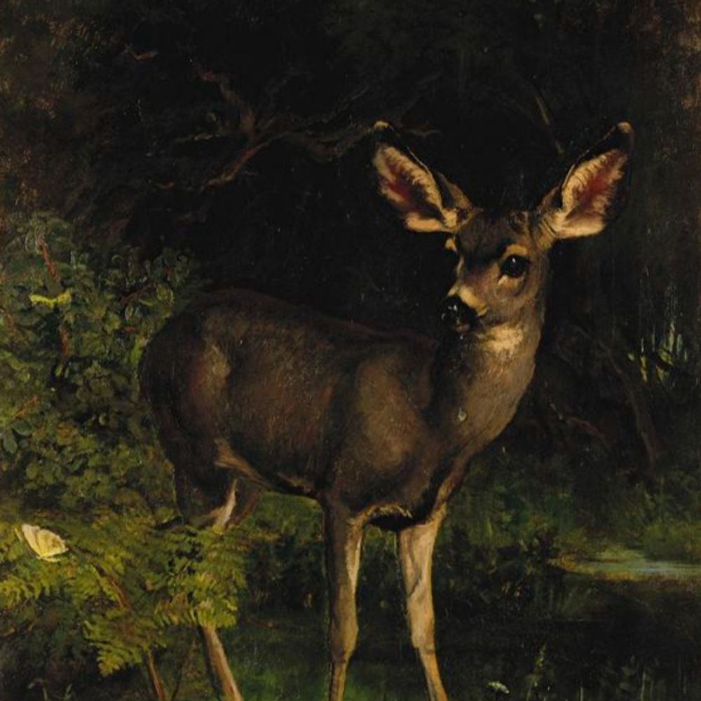 teeb