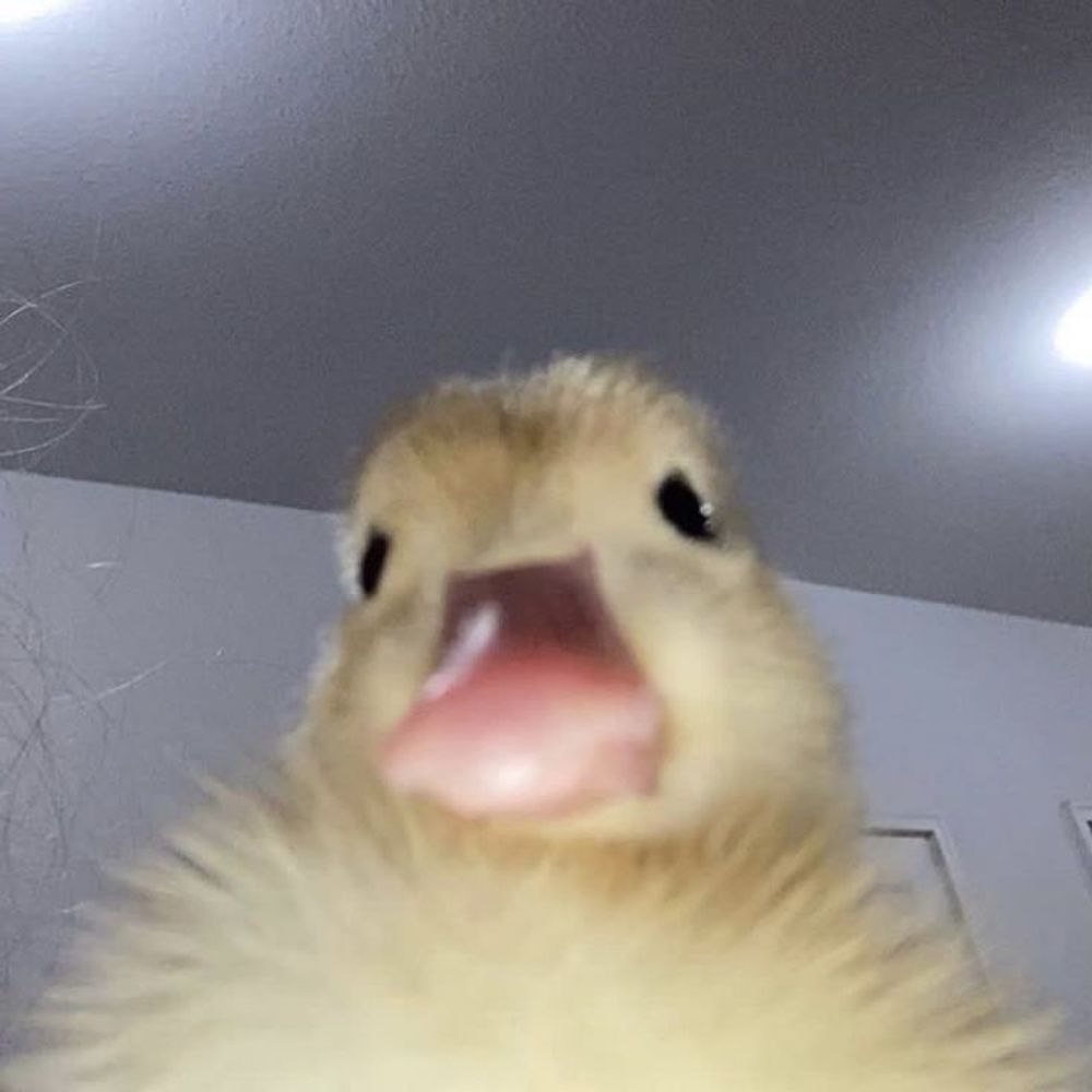 달