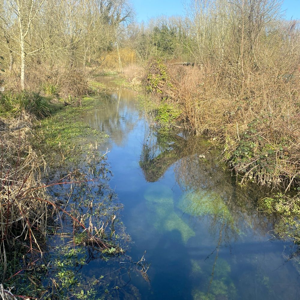 Modular Rivers