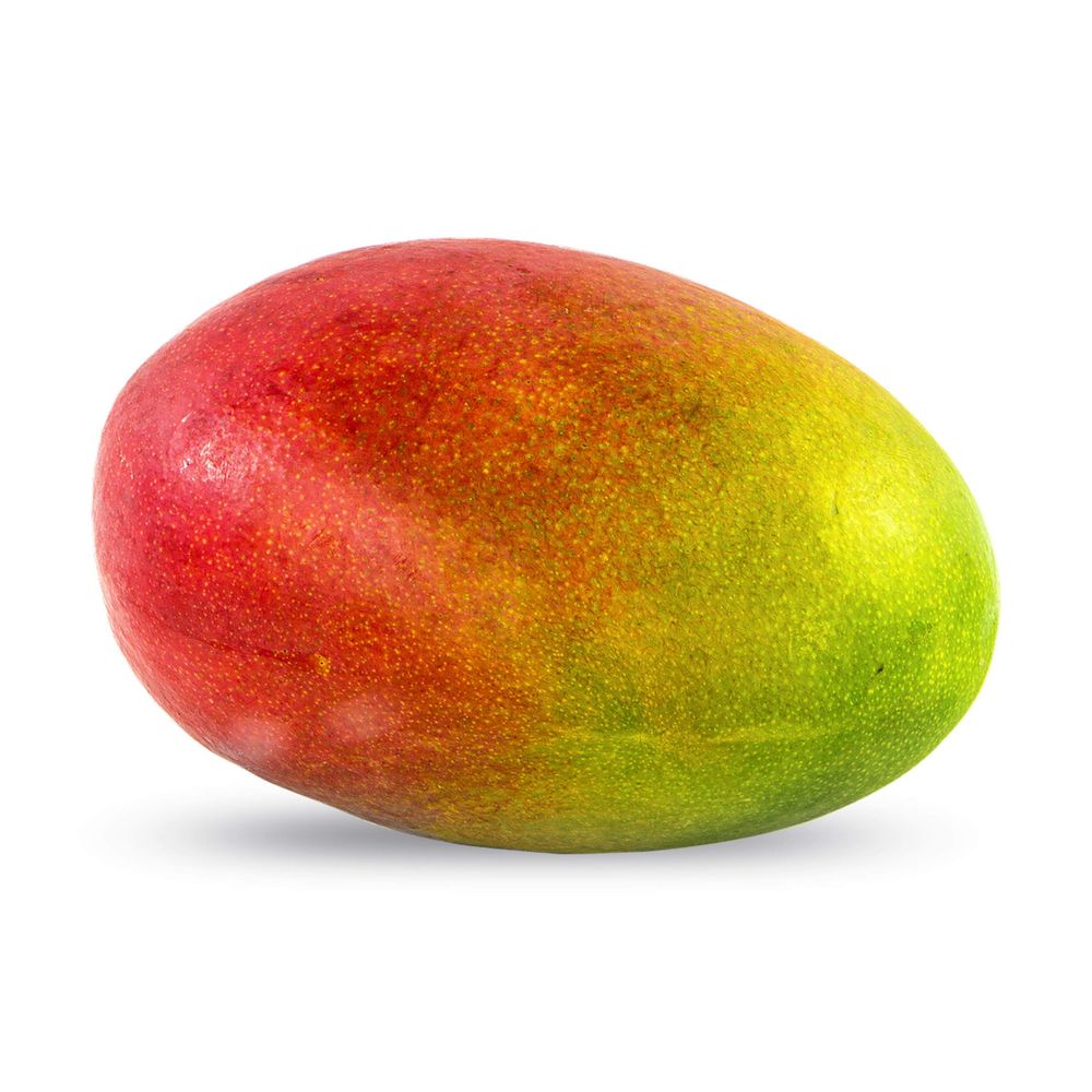 𝔪𝔞𝔫𝔤𝔬