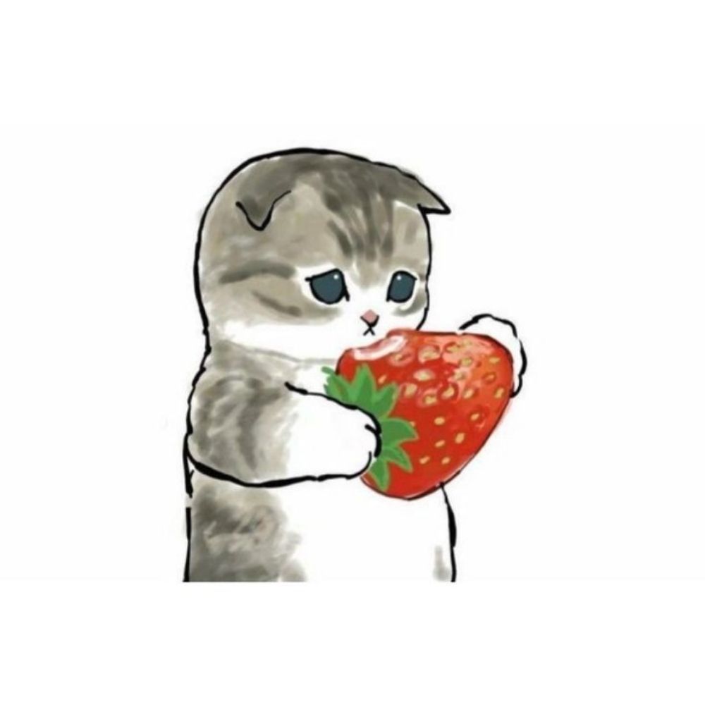       ೀ⋆ 𝐤𝐚𝐱𝐲𝐰