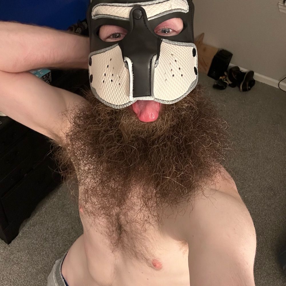 Pup Prowler