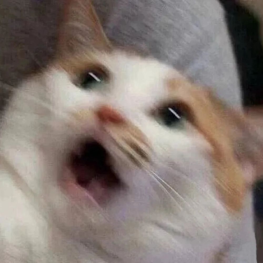 福福