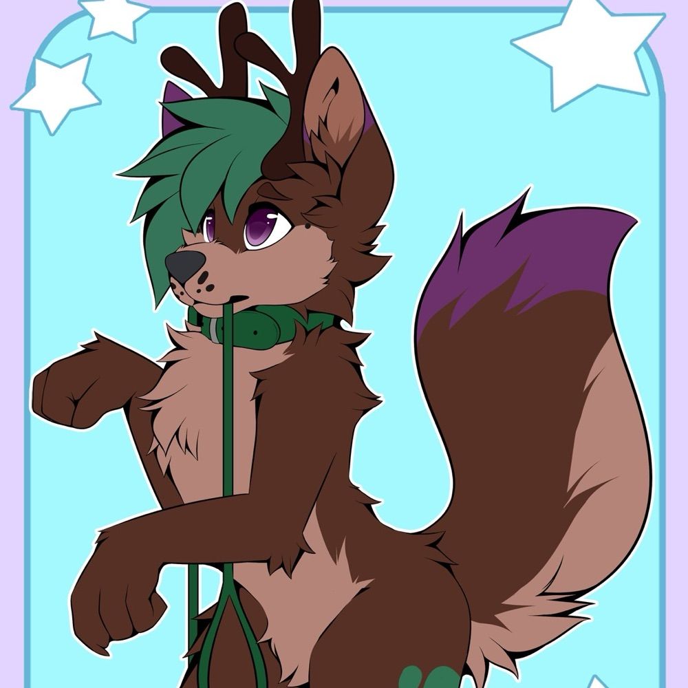 Cosie the deer wolf