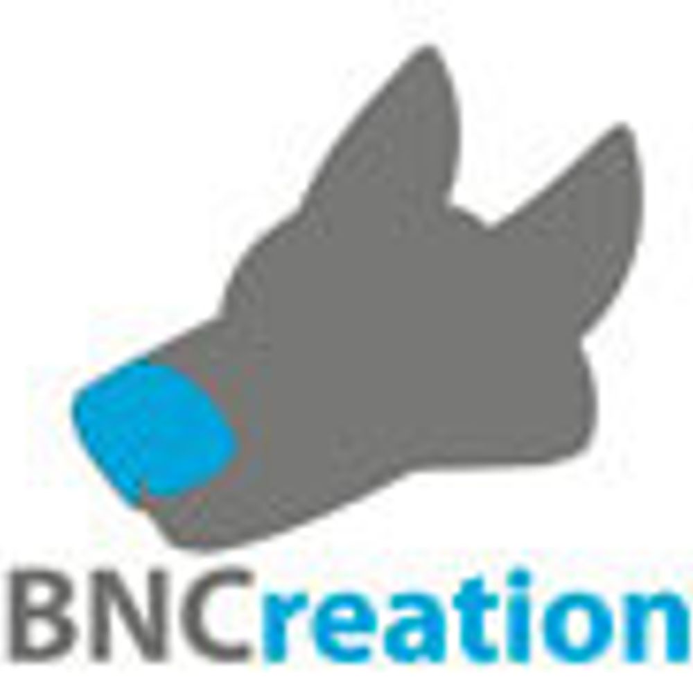 BNCreation's avatar