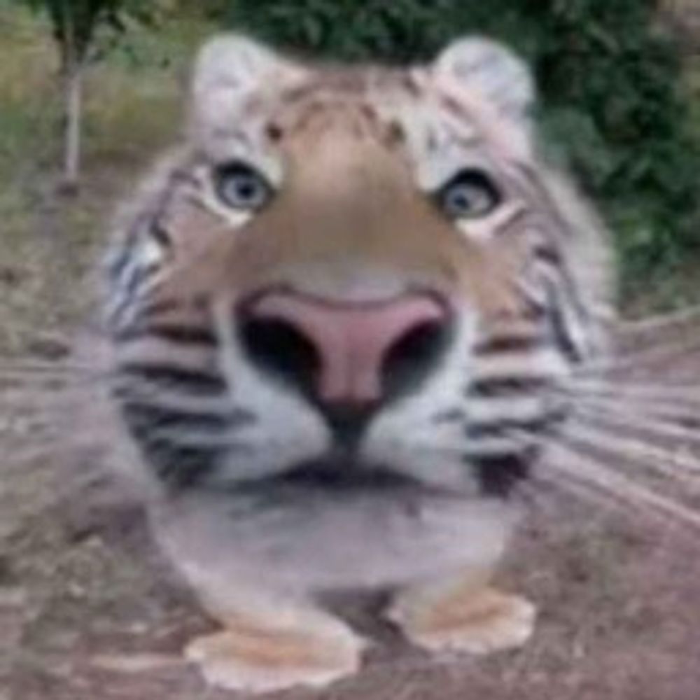 Neko Thelad
