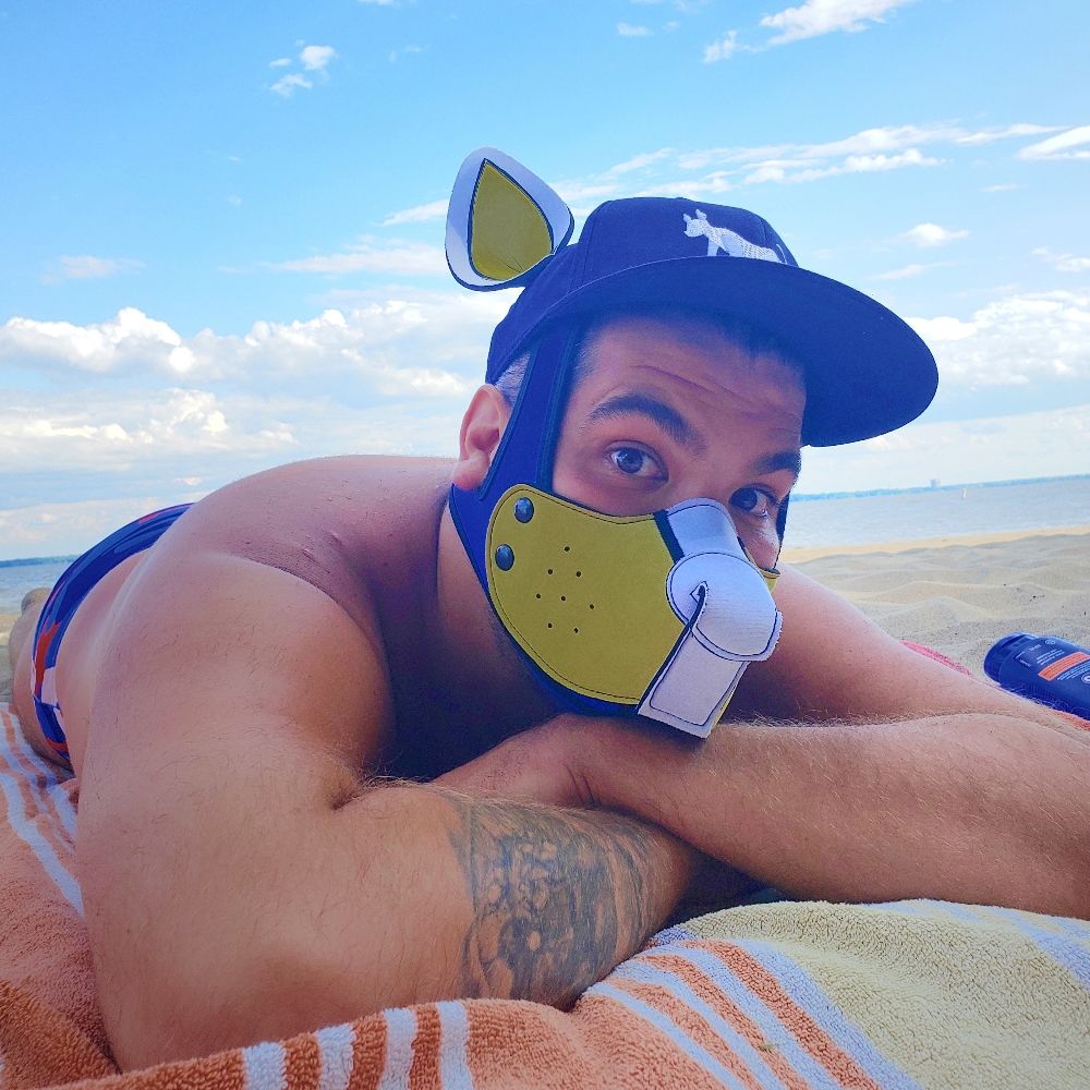 Pup Bébert