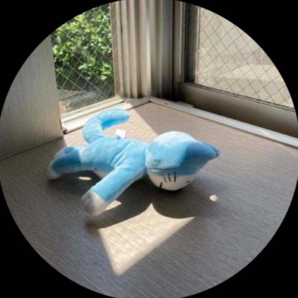 遙