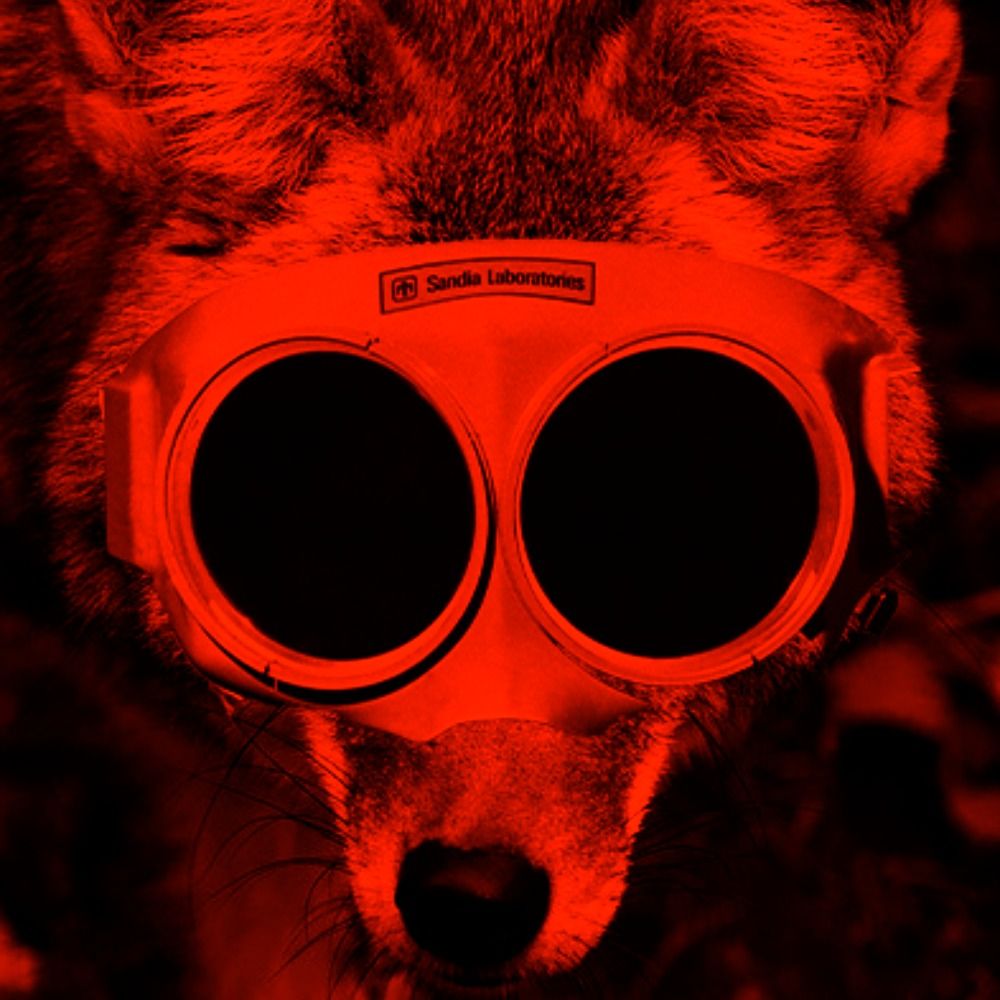 Pey-Yote's avatar