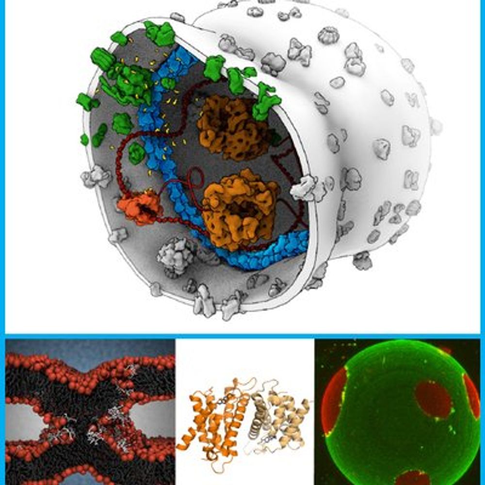 Membrane Enzymology