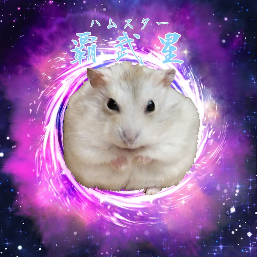 朔弥