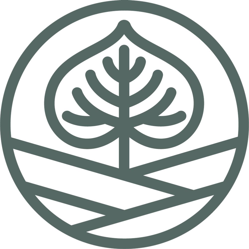 Lindfeld GmbH - Naturnahes Grün & Baumpflege