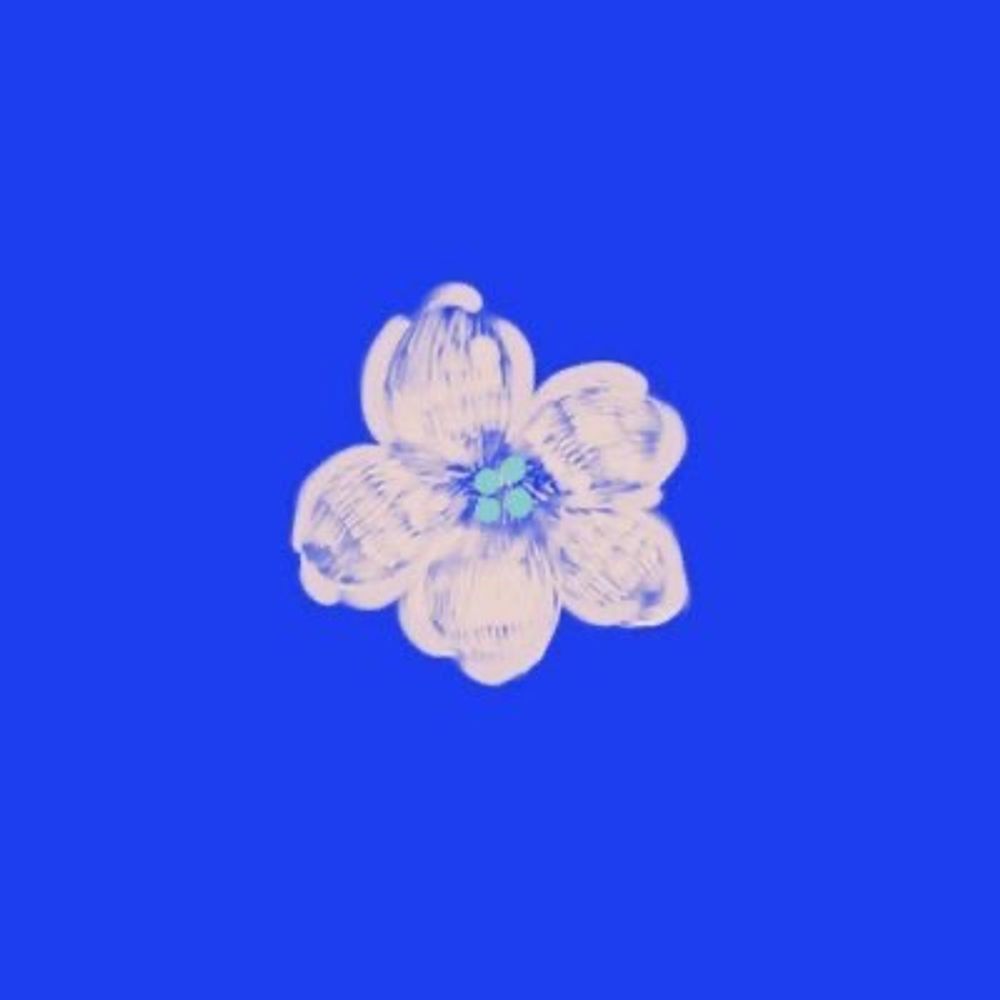千邑