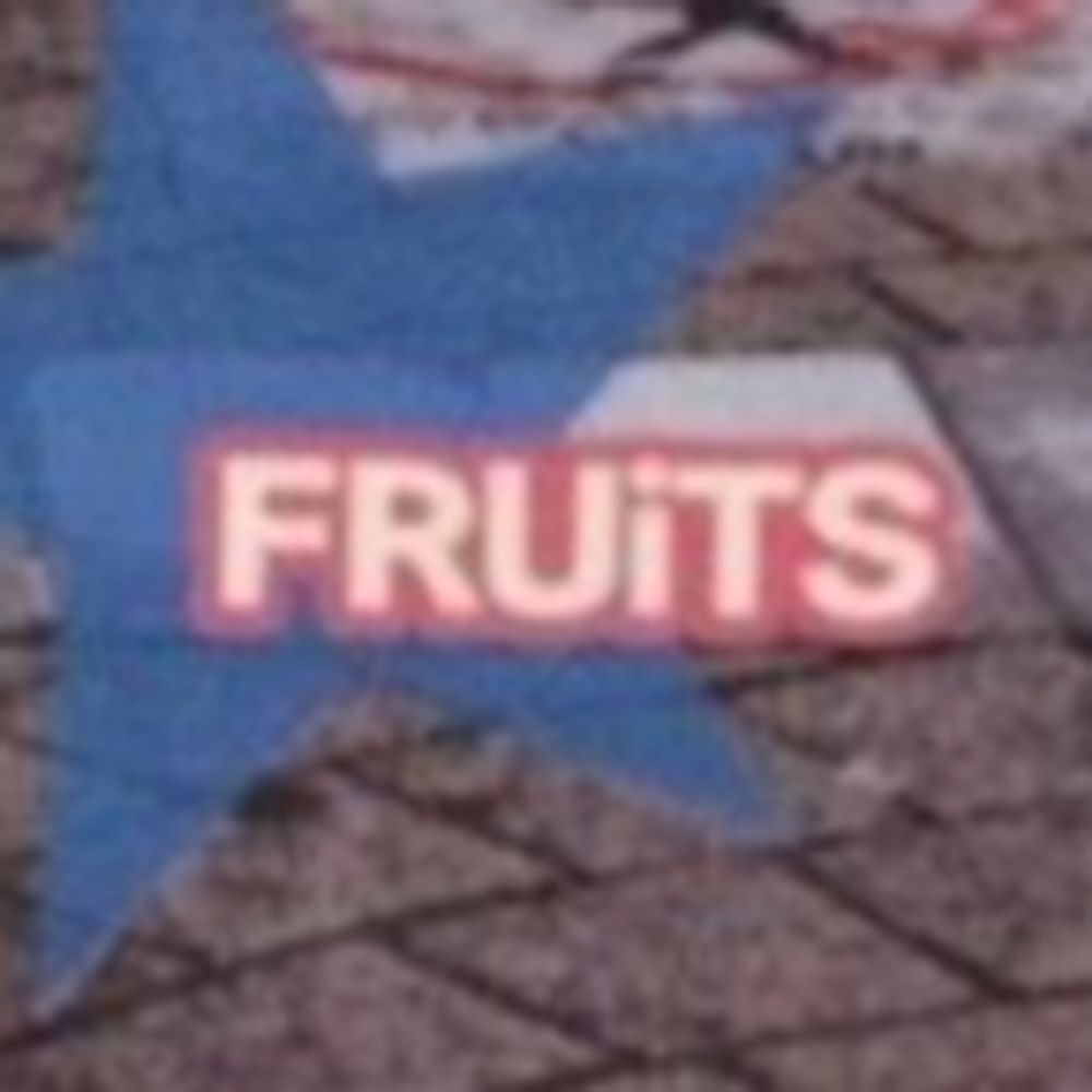 FRUiTS bot
