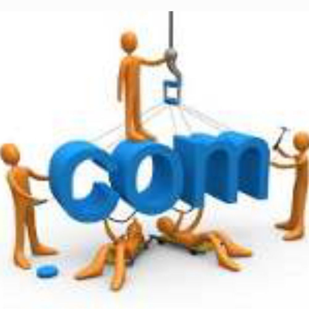 Domain Auctions 🤠