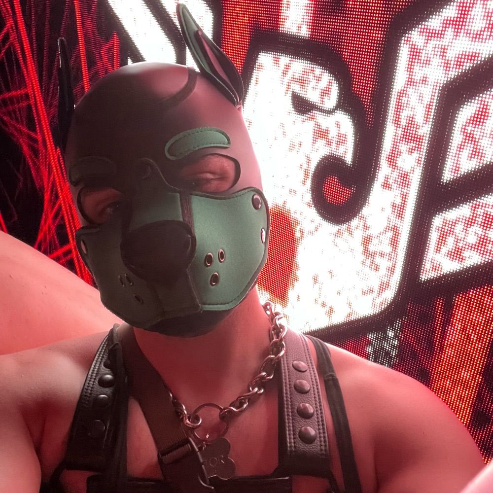 Pup Castor