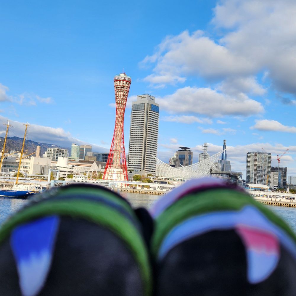 めんだこ