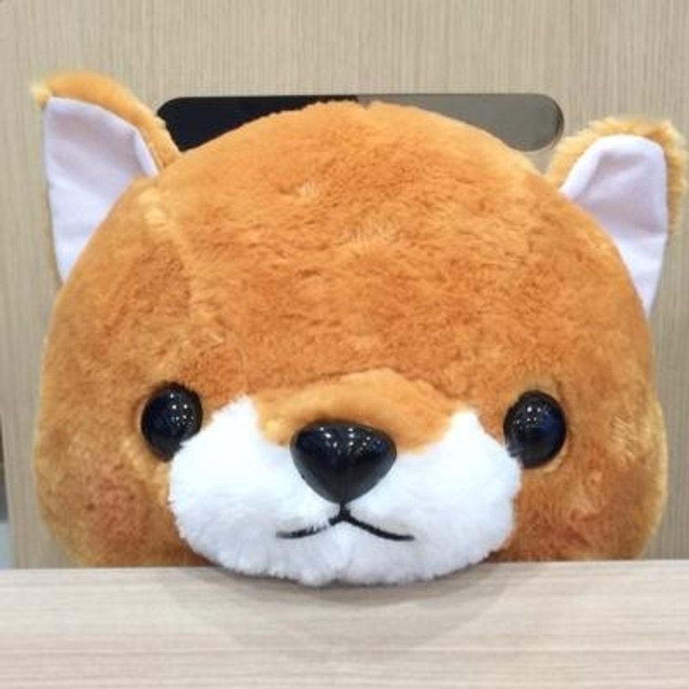 火袈琉（カケル）