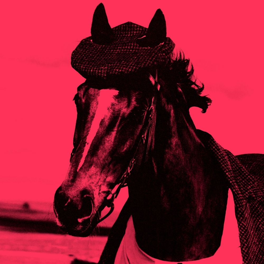 𝐕𝐚𝐧𝐝𝐞𝐫𝐛𝐢𝐥𝐭 𝐯𝐨𝐧 𝐒𝐭𝐢𝐜𝐤𝐲𝐡𝐨𝐨𝐯𝐞𝐬