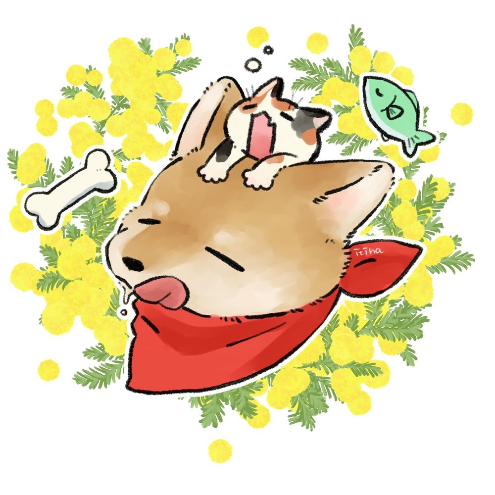 湯切りイチハ