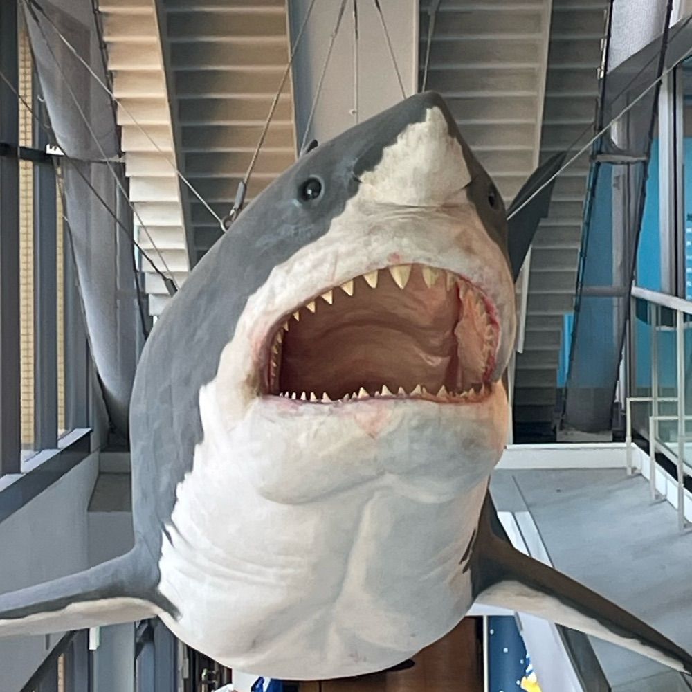 ドラマティッく𝓮𝓿𝓮𝓻𝔂𝓭𝓪𝔂