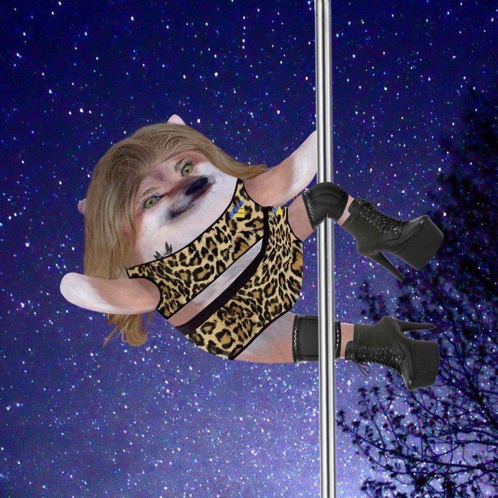 PoleDance Fella