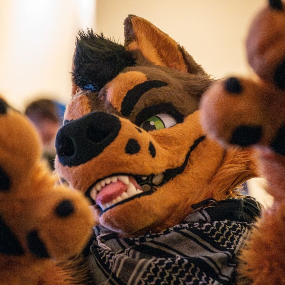 Sleepy Canine @ F L O R I D I A