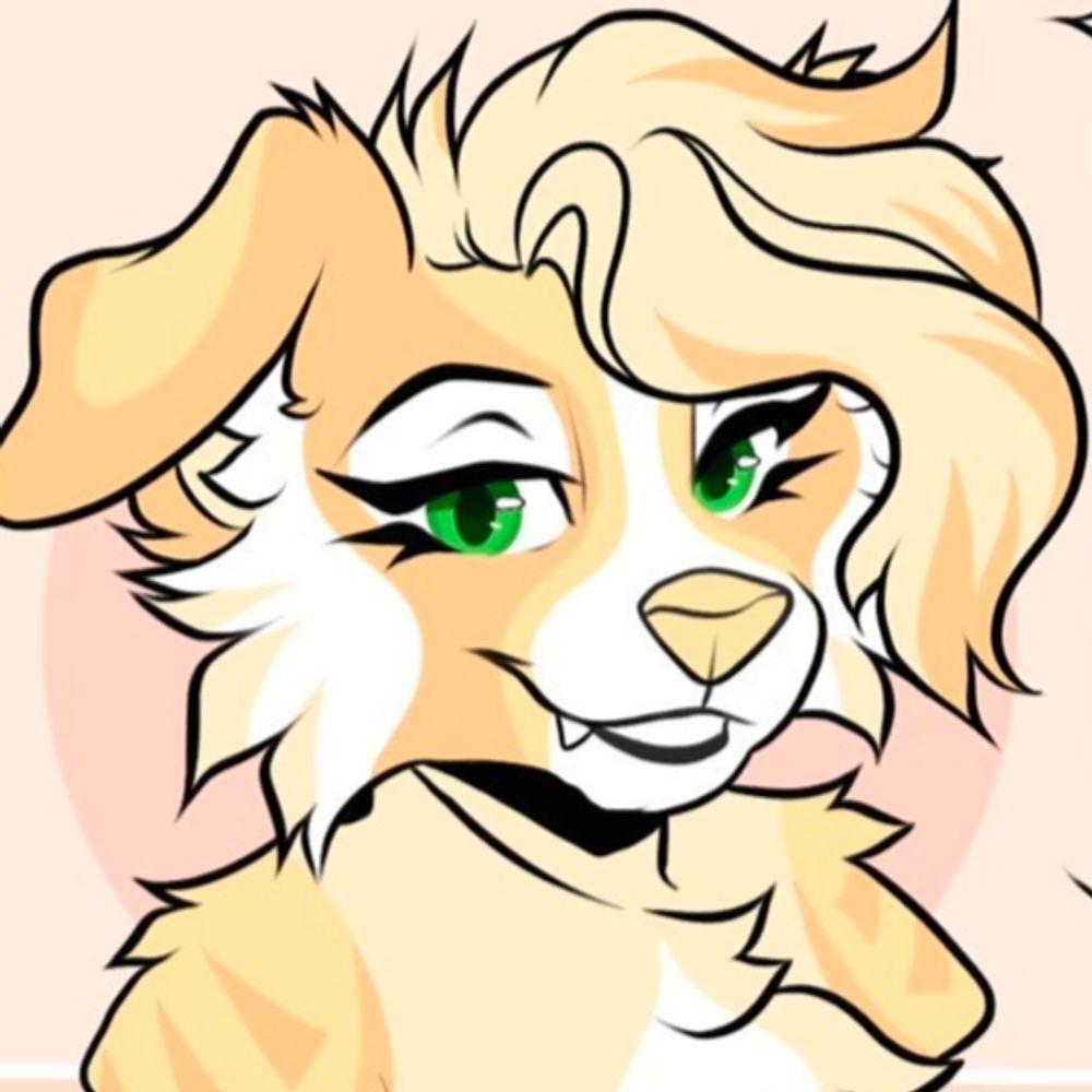 Sunny Collie's avatar